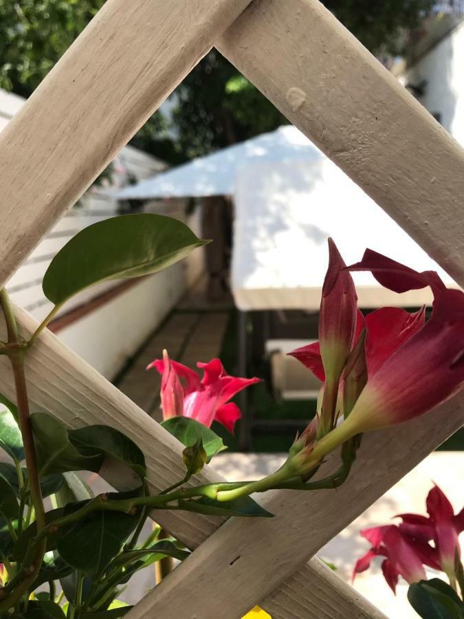Bed and Breakfast Virgilio'S Garden Castellammare di Stabia Zewnętrze zdjęcie